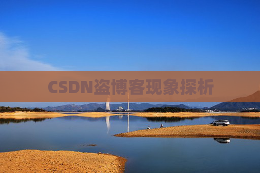 CSDN盗博客现象探析 CSDN盗博客现象探析